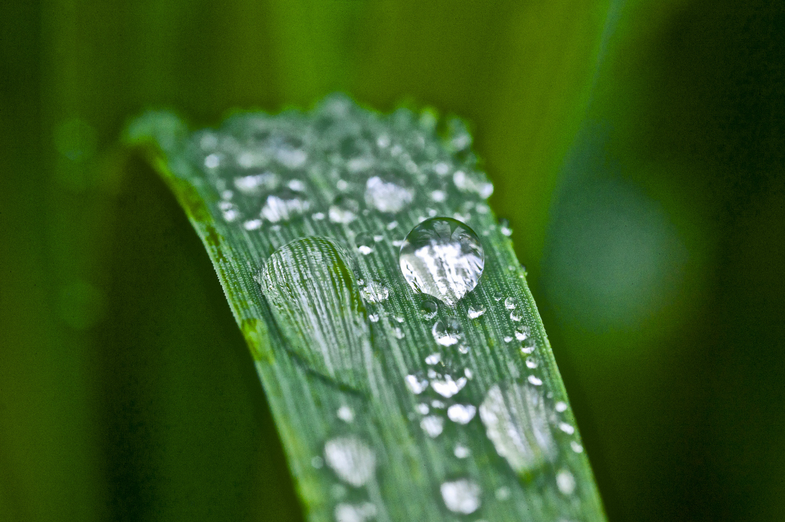 20DU7331   Arbeitskopie 2